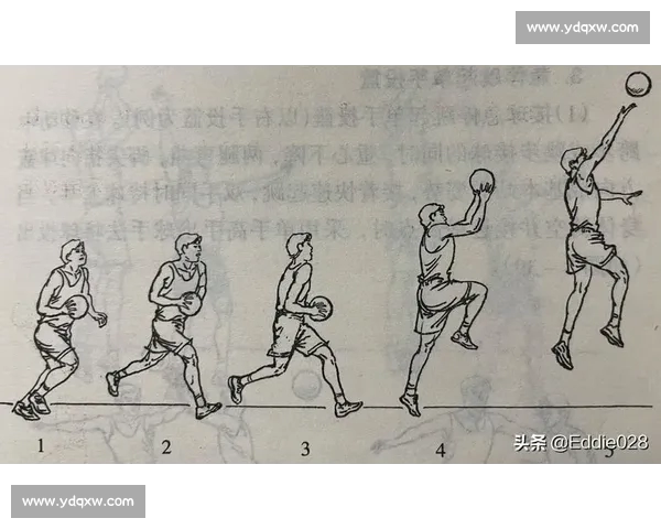 从基础到实战全面解析篮球投篮稳定性与命中率提升技巧进阶方法分享